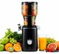StarTech Slow Juicer - Koudpers sapcentrifuge - 200 W - XL-vulopening van 13 cm - Terugloopsysteem - Sapreservoir van 800 ml