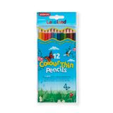 Lakeland Colourthin kleurpotloden zeskantige schacht duurzaam 12 stuks op kleur gesorteerd