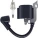 Merkloos Grasmaaier Bobine - Vervangingsonderdeel Motor - Tuinonderhoud Reparatie - Verbeterde Verbranding - 8x6x4.5 cm