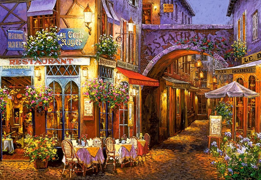 Castorland Evening in Provence - 1000 stukjes Puzzel