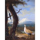 Agricola Bustard Magpie Schilderij, exotisch landschap, vintage stijl, XL