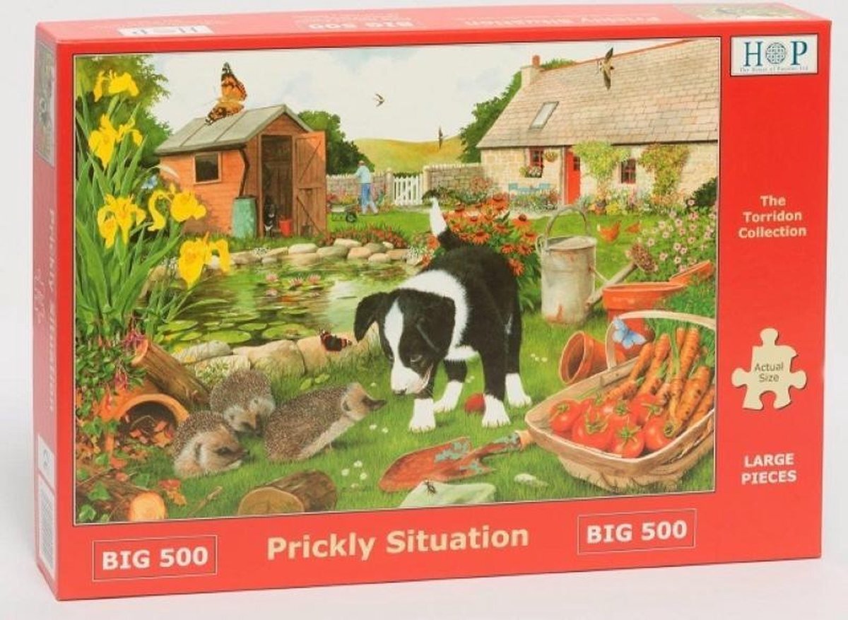 House Of Puzzles Legpuzzel - XL 500 Grote Stukken - Prickly Situation - House Of Puzzels