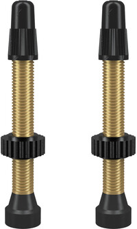 WTB Presta Tubeless Ventiel Messing 2 stuks 46mm - Goud/Zwart
