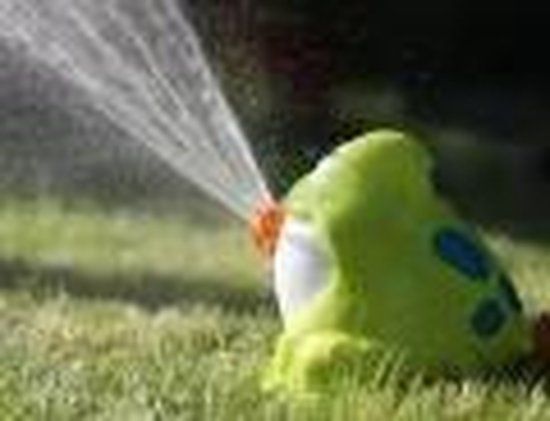 Playgo Kikker Watersproeier - Groen - Kunststof