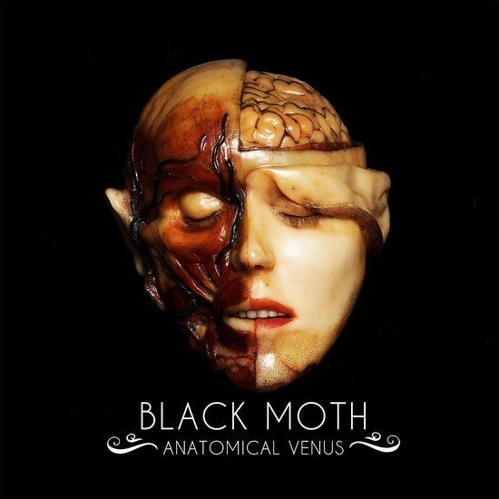 Black Moth - Anatomical Venus - LP
