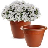 PLASTICFORTE Plantenpot - 2x - terracotta bruin - D50 x H40 cm - bloempot - kunststof - rond