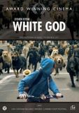 Megamoviestore White God DVD