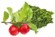 Sanatur ZinkSpirulina & Acerola 90 gélules