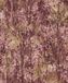 Holden FC Arabesque- Verdant Berry - 36360