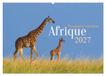 Afrique Calvendo Afrique - Photographie animalière (Calendrier mural 2027 DIN A2 vertical)