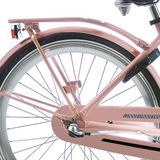 Alpina Achterdrager 26 Clubb desert pink matt