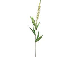 Villa Madelief Zijdebloem veronica white - 76cm