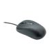 Terra Souris 1500 Filaire Noir 3 Boutons 1000 dpi