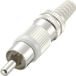 TRU COMPONENTS 719332 Connecteur Cinch, droit Nombre de pôles : 2 Blanc 1 pièce(s)