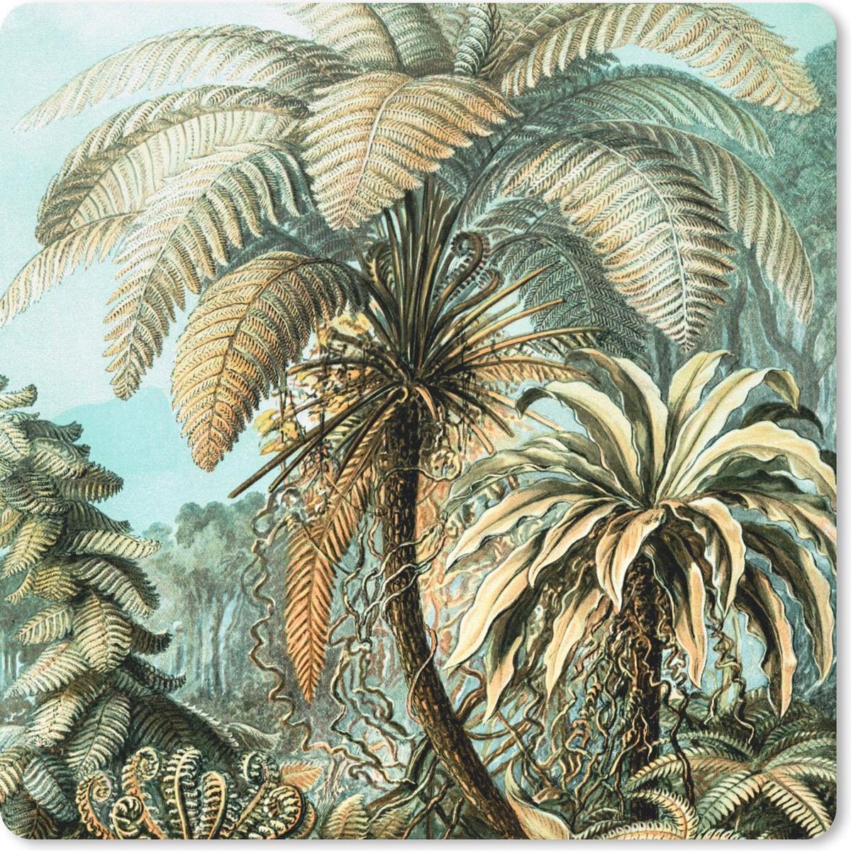 MuchoWow Muismat - Palmboom - Ernst Haeckel - 20x20