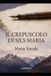 Il Libri GmbH Narrativa Letteraria-Il Crepuscolo di Sils Maria Paperback