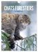 Chats CALVENDO Chats forestiers (Calendrier mural 2027 DIN A4 horizontal), CALVENDO calendrier mensuel: Chaque mois un magnifique et exceptionnel portrait de félins farouches