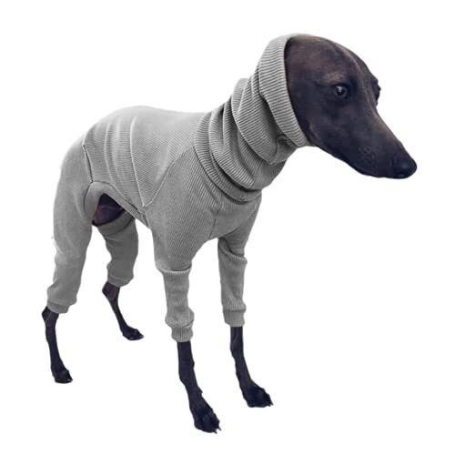 JRKJ Kostuum voor honden Italiaanse Greyhound kleding Lichtgewicht hond Jumpsuit voor Medium Grote Big Dogs Pet Onesies Pyjama voor Shepherd Shirt