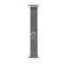 Apple Green/Gray Trail Loop Band - 44/45/49mm - S/M