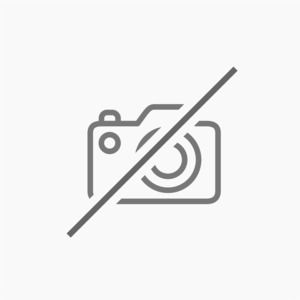 Fujifilm XT-30 II Silver + XC 15-45mm f/3.5-5.6 OIS PZ + 2DE BATTERIJ + SD 32go Pro