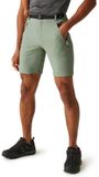 Regatta Xert Stretch III Korte Broek Groen 50 / Regular Man