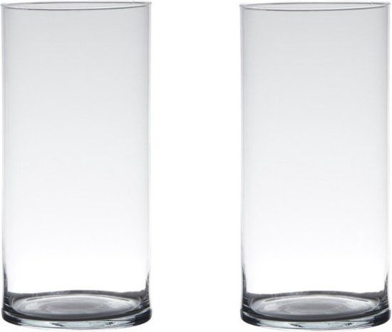 Merkloos Set van 2x Home-Basics Cylinder vaas - 30 x 12 cm - Transparant glas