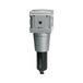 Riegler F 55 M-SR metaalfilter en kijkslang 40 µm, BG 5, G 1, HA