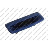 PRASCO Türgriff RN4208303 Fahrzeugheckklappe | Compatibel met: RENAULT MEGANE II