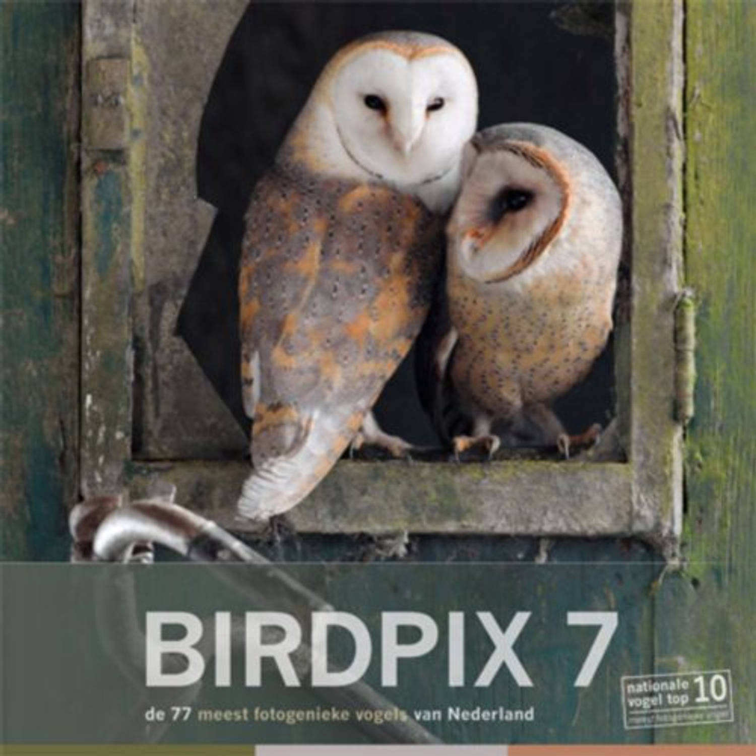 Paagman birdpix / 7 - birdpix