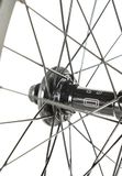 Colony Voorwiel BMX Pintour Zwart 18"