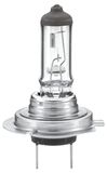 HELLA 8GH 007 157-231 Gloeilamp - H7 - Heavy Duty Expert Longer lifetime, vibration resistant - 24V - 70W - Type grondplaat: PX26d - Doos - Aantal: 1