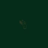 Towers Burning Witch - Towers (LP)