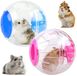 BeiJingLiangPinJiaZuoKeJiWenHuaFaZhanYouXianGongSi Bal de course transparent pour hamster - Ballon de gymnastique pour hamster pour l'exercice