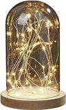 hellum Glazen stolp met lichtketting