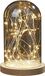 hellum Glazen stolp met lichtketting