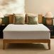 Tempur-Cloud 2-inch matrastopper, Cal King, Wit