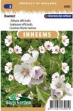 Sluis garden - Inheemse bloemenzaden - Heemst - wit/zachtroze