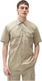Dickies Chemise à manches courtes Kaki Coton S Homme