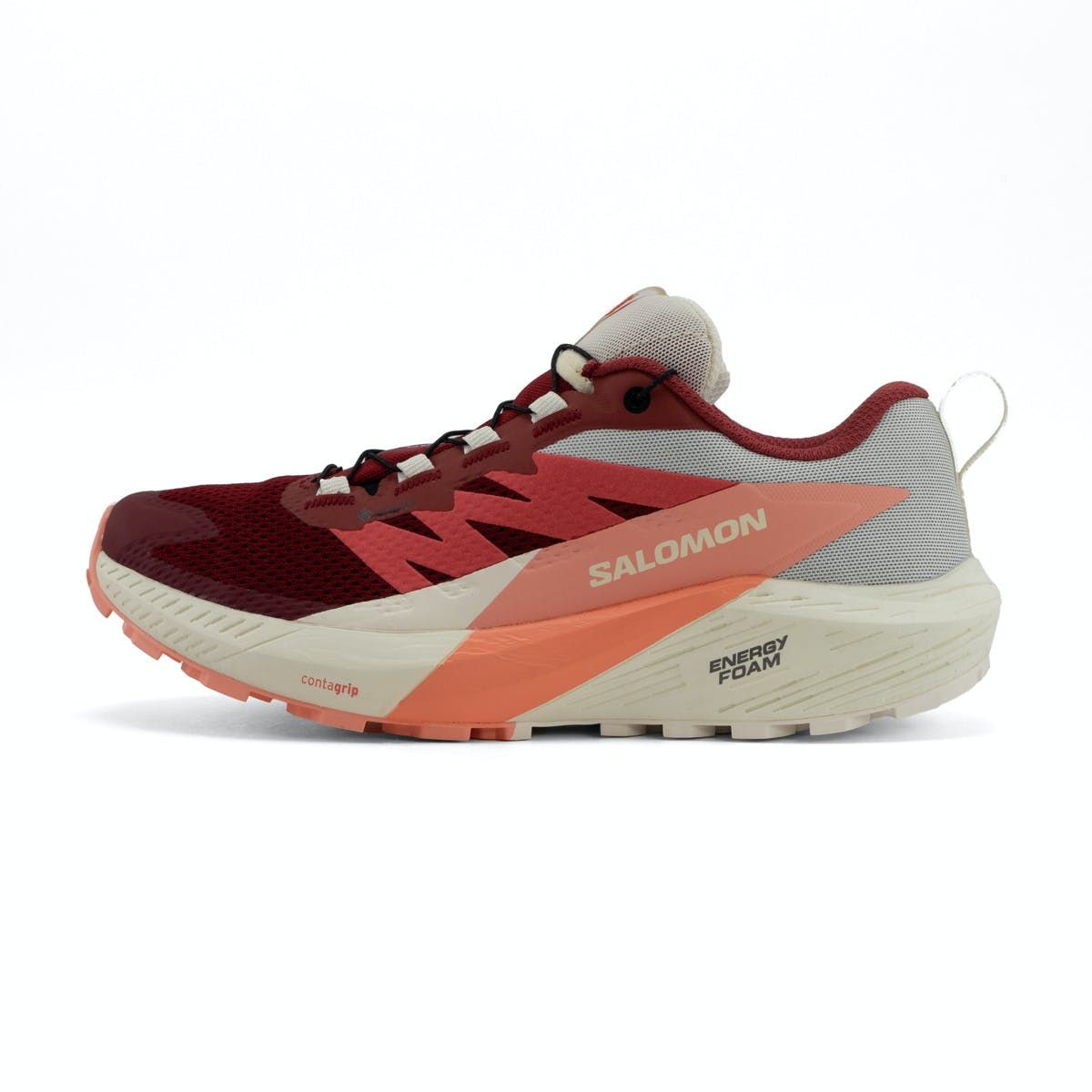 Salomon Sense Ride 5 GTX Dames