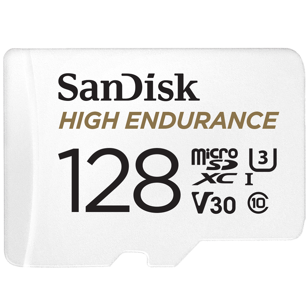 SanDisk High Endurance