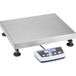 Kern DS 60K0.2 Platformweegschaal