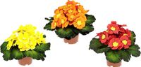 Kunstprimula Bol Kunstmatige primeel struik met bladeren in pot, geel, oranje, rood