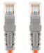 Bandridge BCL7402 - Netwerkkabel - 2 m