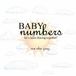 Baby Hmong Learning Baby Numbers Paperback