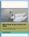 Wings Little Wings: Lifelong Journey Rhymes- Wings of Wonder