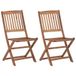 VidaXL Opklapbare stoelen, 2 stuks, massief acaciahout