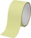 TOOLCRAFT Bande antidérapante ANST505M-LG Néon-vert (L x l) 5 m x 50 mm
