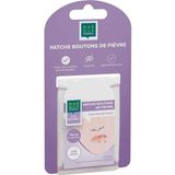 Mconseil Patch Bouton Fievre 15