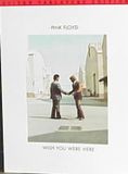 Pink Floyd - Wish You Were Here Paperback