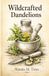 Wildcrafted Dandelions